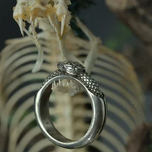 Nhẫn bạc Athanatos: Biểu tượng ý chí bất diệt từ thần thoại Prometheus. Thiết kế rắn Ouroboros tinh xảo, đại diện cho sự tái sinh và sức mạnh nội tại bất khuất. Khám phá ngay tác phẩm nghệ thuật dành riêng cho những kẻ bản lĩnh.